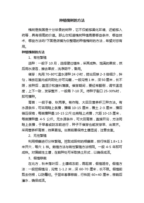 种植槐树的方法