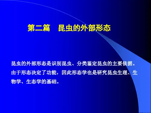 第二篇、昆虫的外部形态定