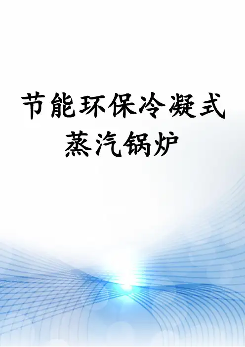 节能环保冷凝式蒸汽锅炉