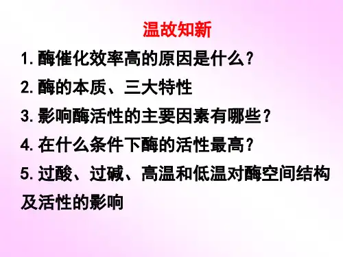 高中生物必修一52 ATP(共28张PPT)