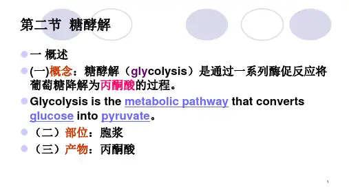 糖类代谢—糖酵解