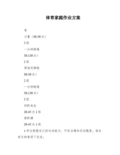 体育家庭作业方案
