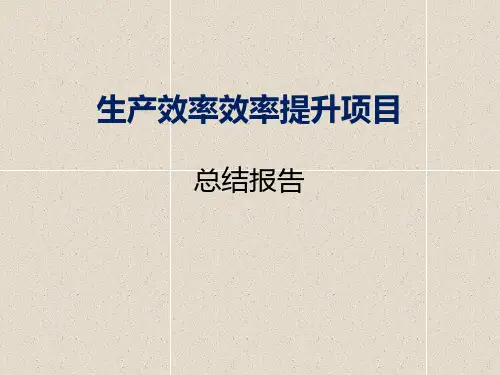 精益生产：公司生产效率提升改善项目报告