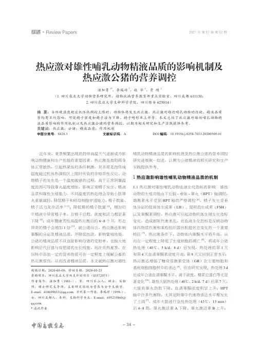 热应激对雄性哺乳动物精液品质的影响机制及热应激公猪的营养调控