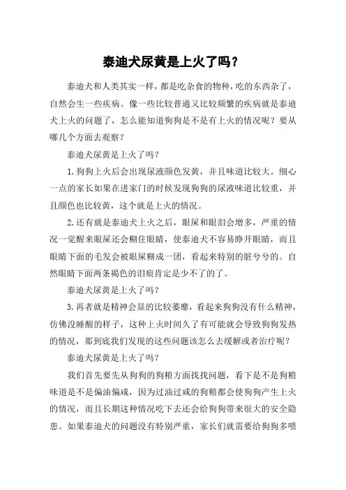 泰迪犬尿黄是上火了吗？