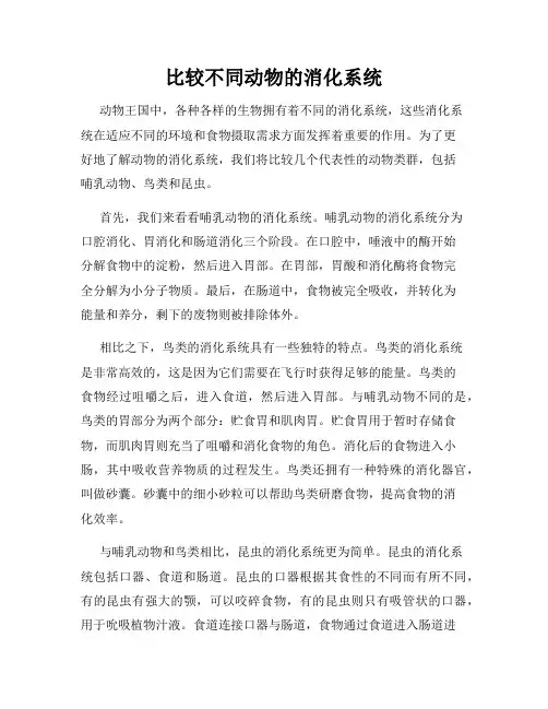 比较不同动物的消化系统