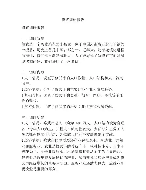 修武调研报告