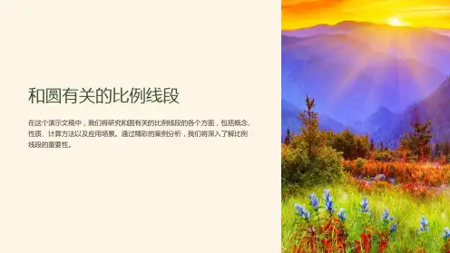 和圆有关的比例线段课件