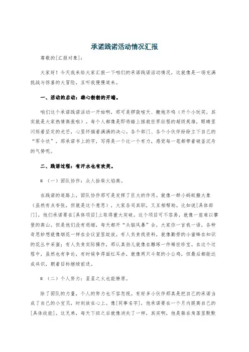 承诺践诺活动情况汇报