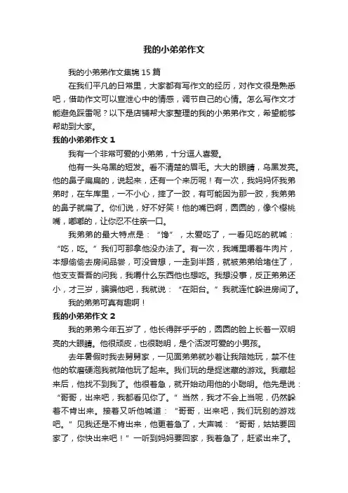 我的小弟弟作文