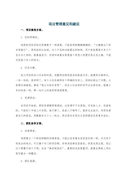 项目管理意见和建议