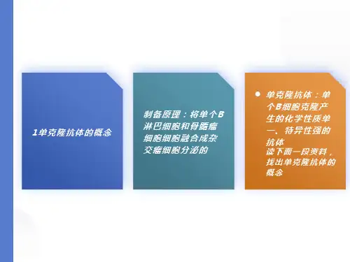 动物细胞工程复习课件