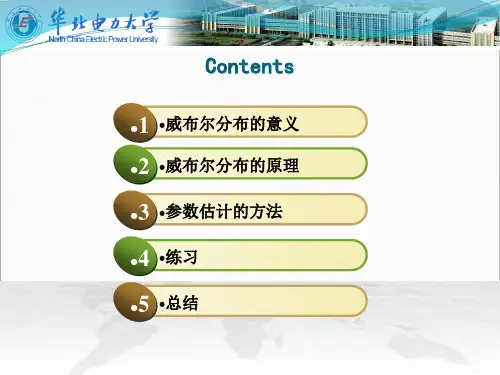 .4.16weibullcalculation共23页文档