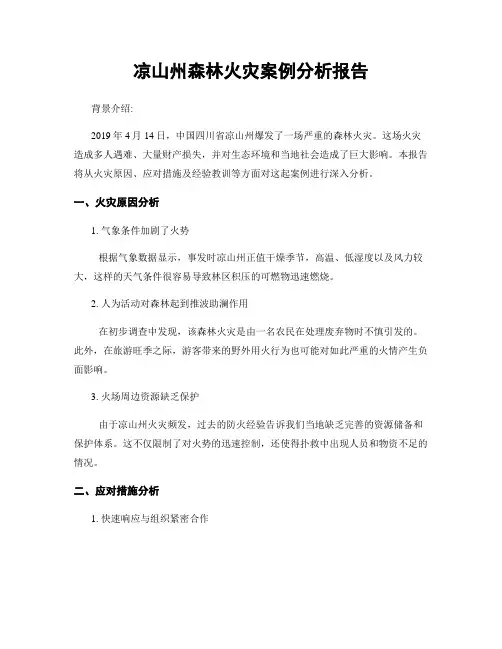 凉山州森林火灾案例分析报告