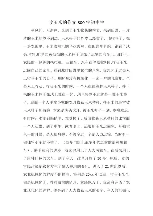 收玉米的作文800字初中生