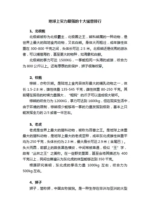地球上实力最强的十大猛兽排行