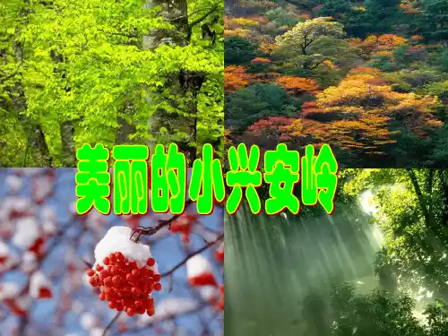 语文人教版三年级上册 23、《美丽的小兴安岭》