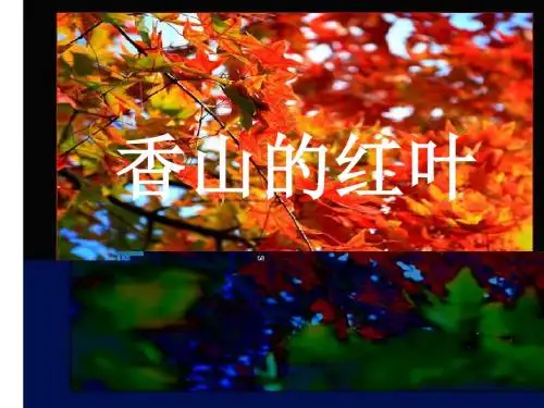 香山的红叶