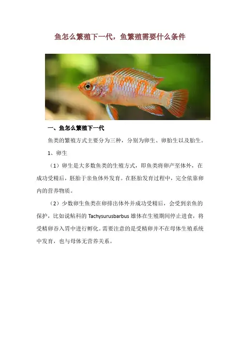 鱼怎么繁殖下一代,鱼繁殖需要什么条件