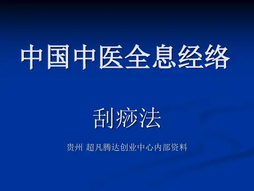 中国中医全息经络精品PPT课件