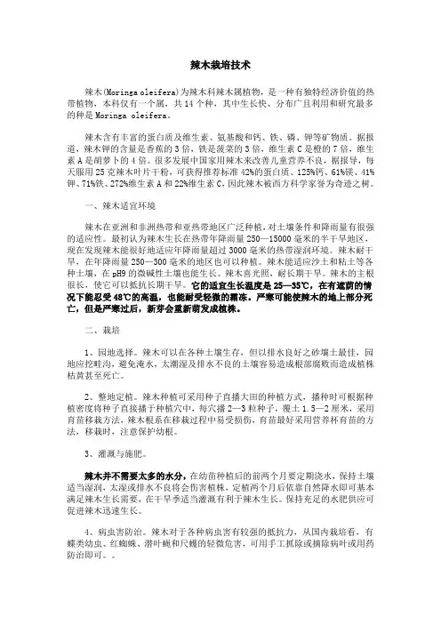 辣木栽培技术