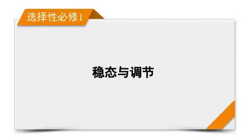 膜电位的测量及电流表指针偏转问题-备战2024年高考生物一轮复习精优课件