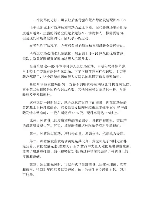 一个简单的方法,可以让后备母猪和经产母猪发情配种率95%