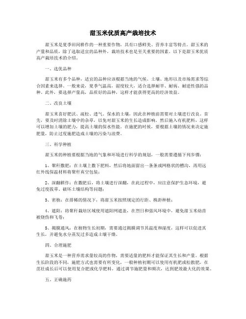 甜玉米优质高产栽培技术