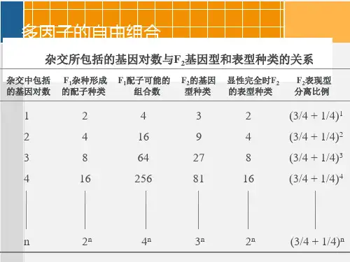 遗传学--ppt课件全篇