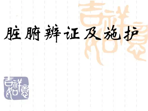 脏腑辨证及施护