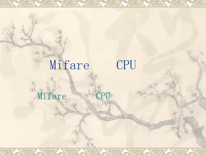 CPU卡说明