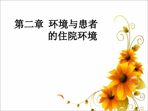 环境与患者的住院环境ppt(PPT33页)