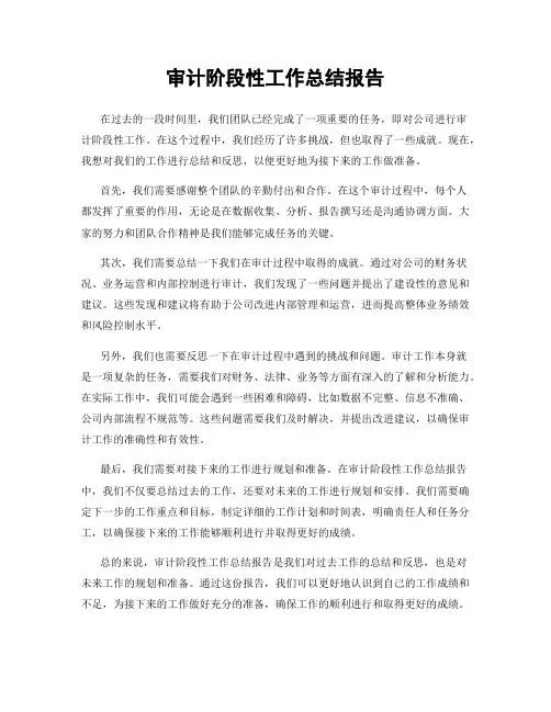 审计阶段性工作总结报告
