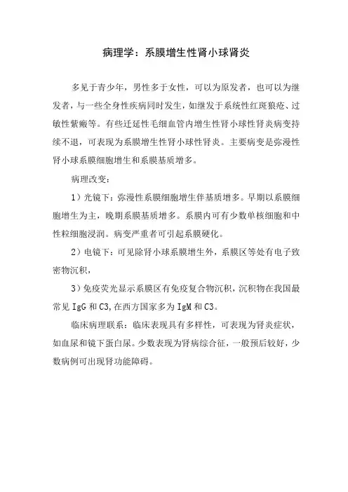病理学：系膜增生性肾小球肾炎
