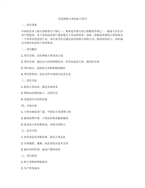 农民种植大米创业计划书