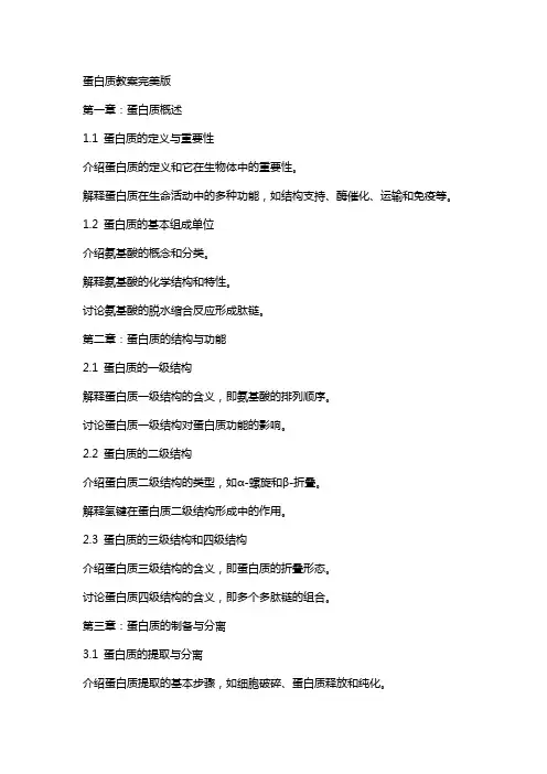 蛋白质教案完美版