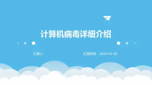 计算机病毒详细介绍
