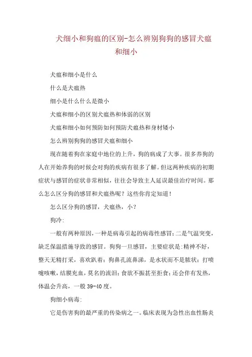 犬细小和狗瘟的区别-怎么辨别狗狗的感冒犬瘟和细小