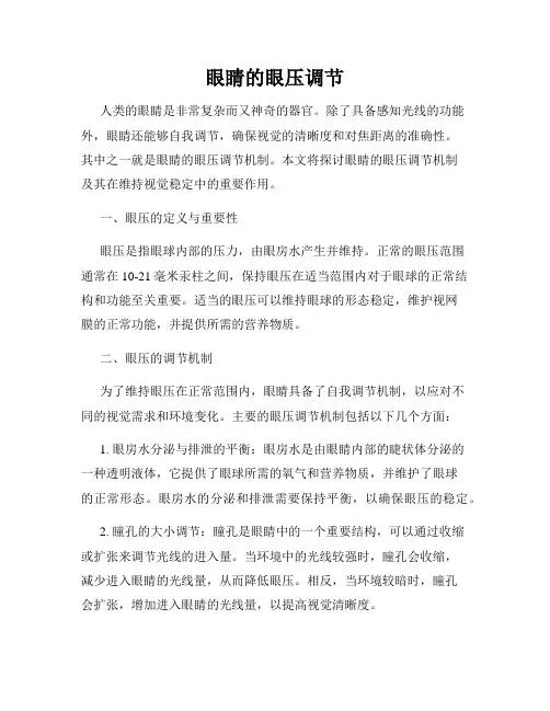 眼睛的眼压调节