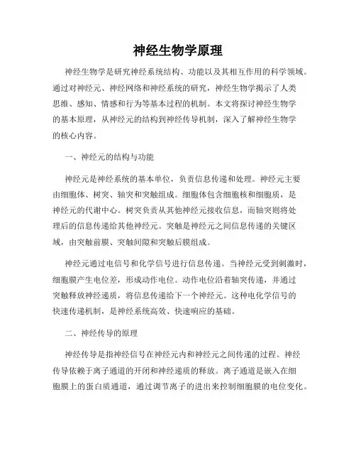 神经生物学原理
