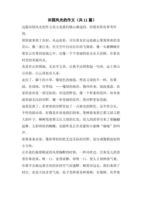 田园风光的作文(共11篇)
