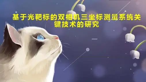 基于光靶标的双相机三坐标测量系统关键技术的研究