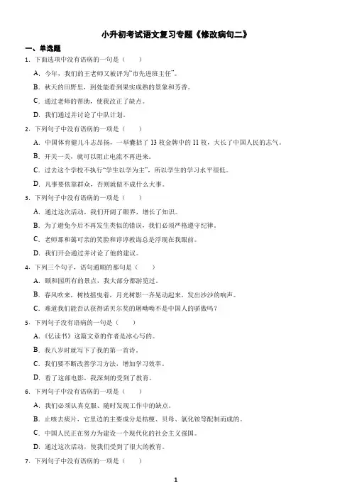小升初考试语文复习专题《修改病句2》练习及答案