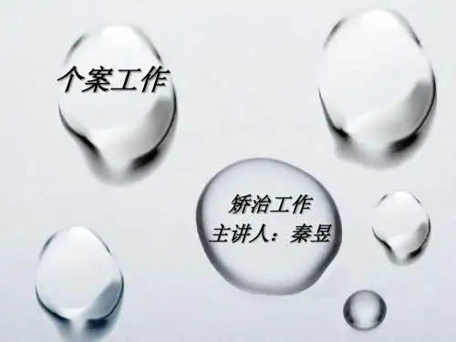 个案工作-矫治工作