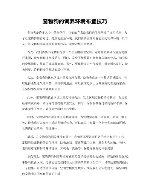 宠物狗的饲养环境布置技巧