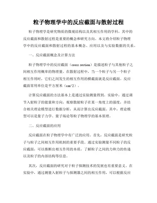 粒子物理学中的反应截面与散射过程
