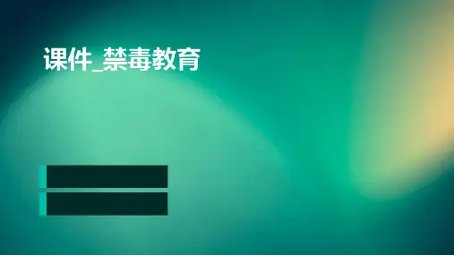 课件_禁毒教育(共25张PPT)