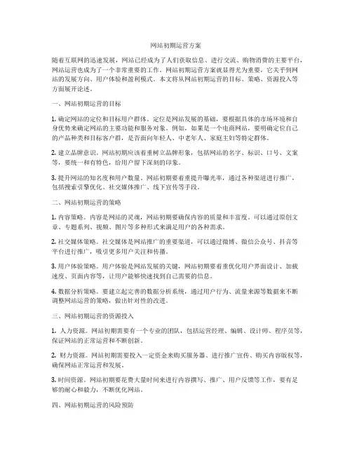 网站初期运营方案