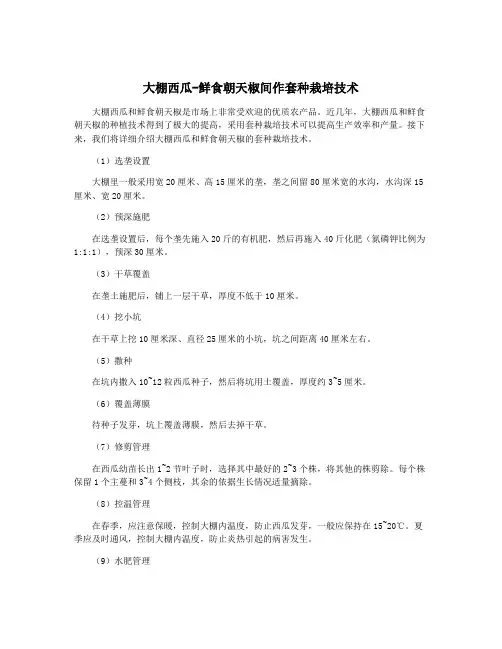 大棚西瓜-鲜食朝天椒间作套种栽培技术
