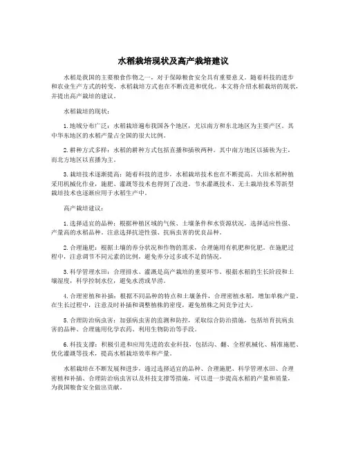 水稻栽培现状及高产栽培建议